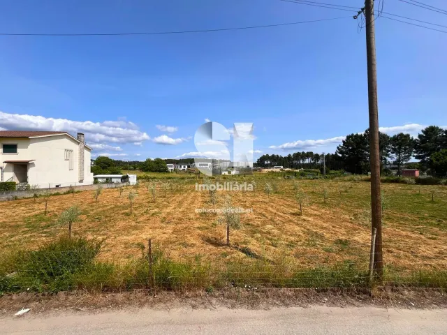 Terreno Urbano T0 - Constantim, Vila Real, Vila Real - Miniatura: 10/22