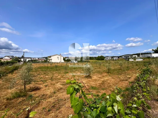 Terreno Urbano T0 - Constantim, Vila Real, Vila Real - Miniatura: 14/22
