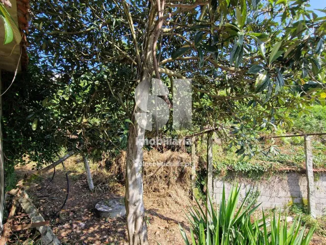 Moradia T2 - Astromil, Paredes, Porto - Miniatura: 31/35