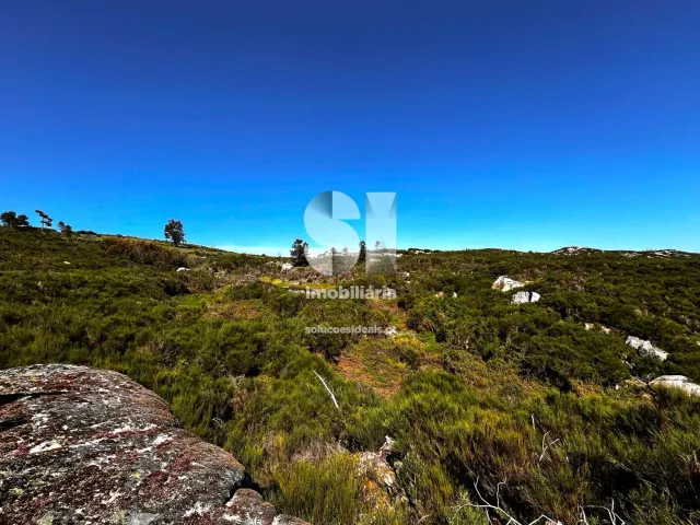 Terreno Urbano T0 - Alij�, Alij�, Vila Real - Miniatura: 3/14