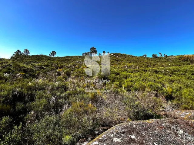 Terreno Urbano T0 - Alij�, Alij�, Vila Real - Miniatura: 4/14