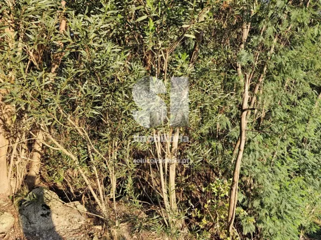 Terreno Urbano T0 - Baltar, Paredes, Porto - Miniatura: 6/29