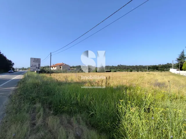 Terreno Urbano T0 - Tamengos, Anadia, Aveiro - Miniatura: 2/8