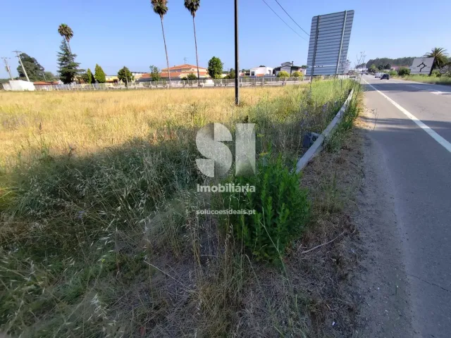 Terreno Urbano T0 - Tamengos, Anadia, Aveiro - Miniatura: 3/8