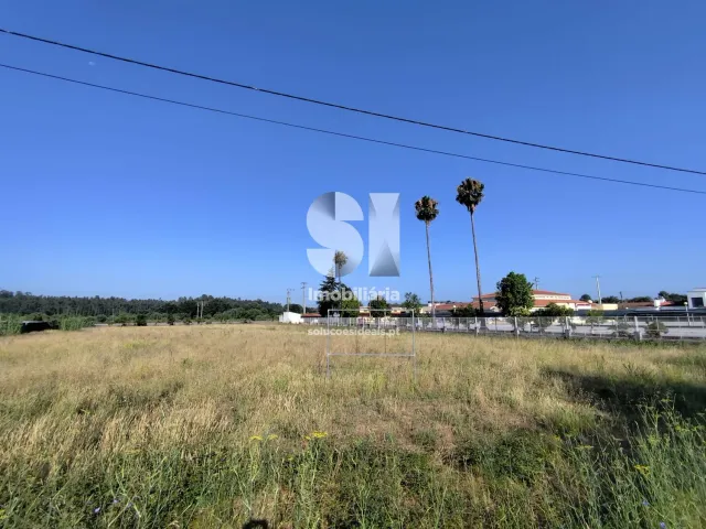 Terreno Urbano T0 - Tamengos, Anadia, Aveiro - Miniatura: 4/8