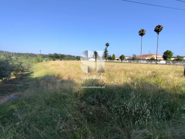 Terreno Urbano T0 - Tamengos, Anadia, Aveiro - Miniatura: 6/8
