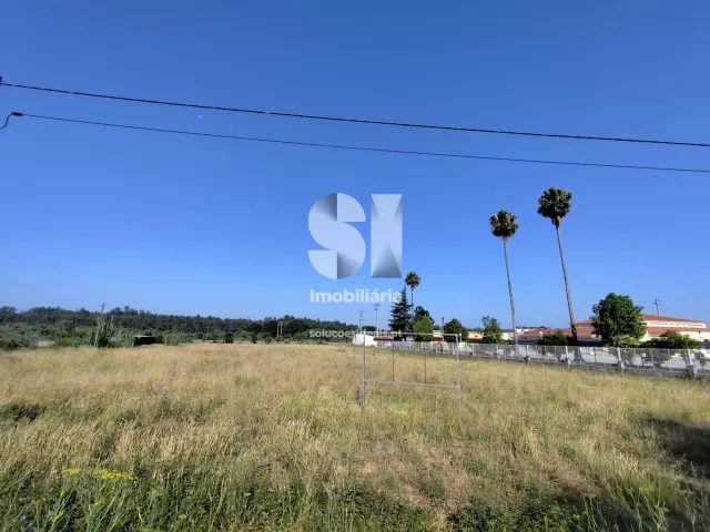 Terreno Urbano T0 - Tamengos, Anadia, Aveiro - Miniatura: 7/8