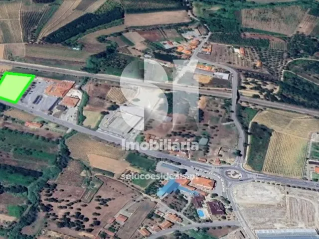 Terreno Urbano T0 - Tamengos, Anadia, Aveiro - Miniatura: 8/8