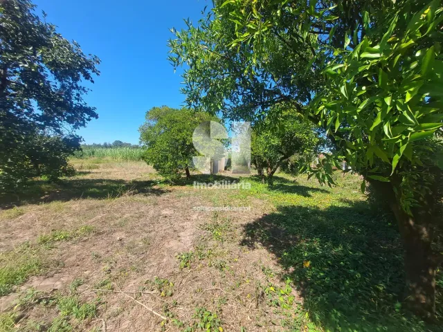 Terreno Urbano T0 - Tamengos, Anadia, Aveiro - Miniatura: 5/11