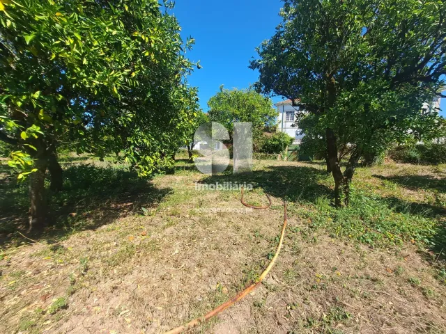Terreno Urbano T0 - Tamengos, Anadia, Aveiro - Miniatura: 7/11