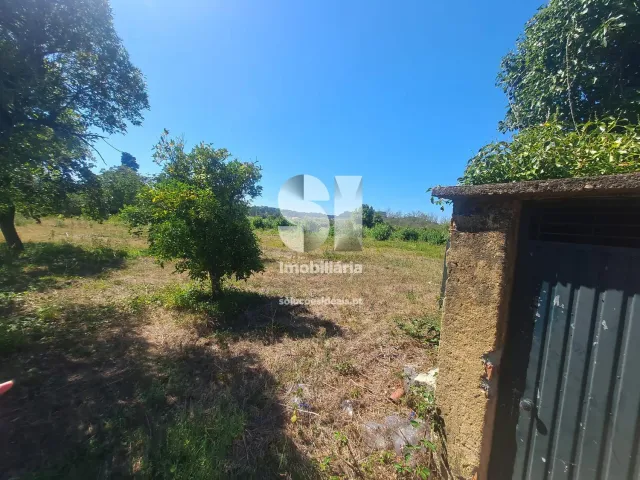 Terreno Urbano T0 - Tamengos, Anadia, Aveiro - Miniatura: 9/11