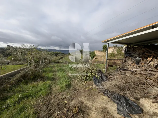 Terreno Urbano T0 - Fri�mes, Penacova, Coimbra - Miniatura: 5/6