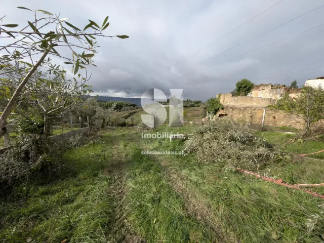 Terreno Urbano T0 - Fri�mes, Penacova, Coimbra - Miniatura: 6/6