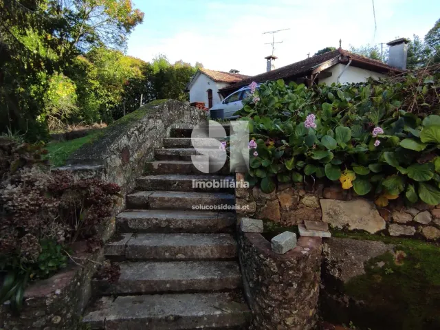 Quinta T0 - Arcos, Anadia, Aveiro - Miniatura: 1/36