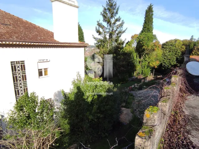 Quinta T0 - Arcos, Anadia, Aveiro - Miniatura: 16/36