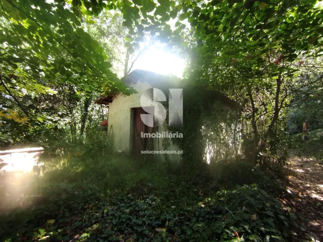 Quinta T0 - Arcos, Anadia, Aveiro - Miniatura: 31/36