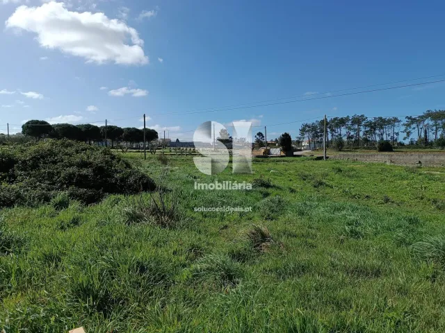 Terreno Urbano T0 - Vieira de Leiria, Marinha Grande, Leiria - Miniatura: 1/5