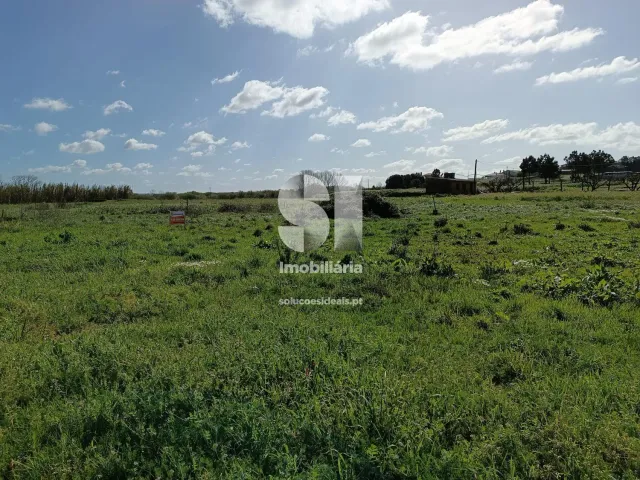 Terreno Urbano T0 - Vieira de Leiria, Marinha Grande, Leiria - Miniatura: 3/5