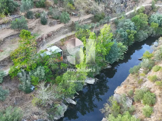 Quinta T2 - Provesende, Sabrosa, Vila Real - Miniatura: 1/41