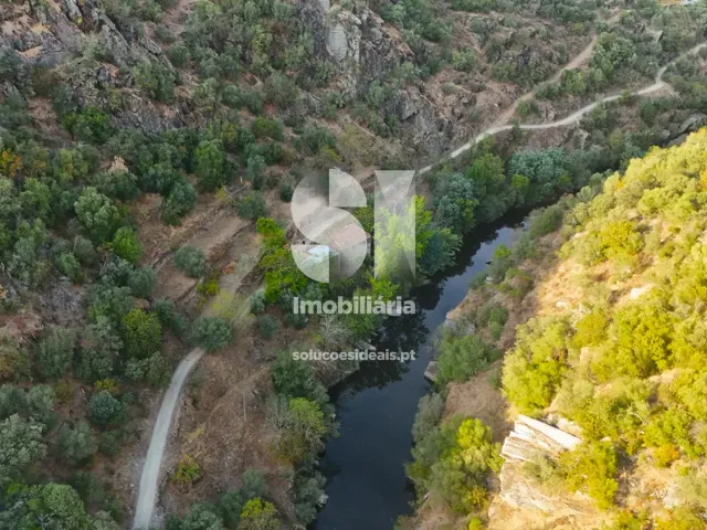 Quinta T2 - Provesende, Sabrosa, Vila Real - Miniatura: 4/41