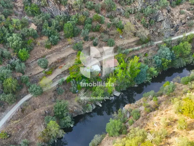 Quinta T2 - Provesende, Sabrosa, Vila Real - Miniatura: 5/41