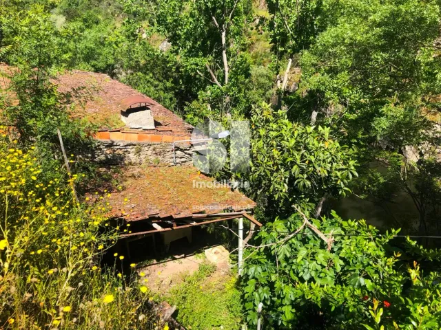 Quinta T2 - Provesende, Sabrosa, Vila Real - Miniatura: 7/41