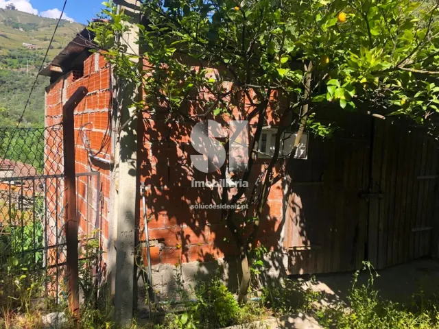 Quinta T2 - Provesende, Sabrosa, Vila Real - Miniatura: 11/41