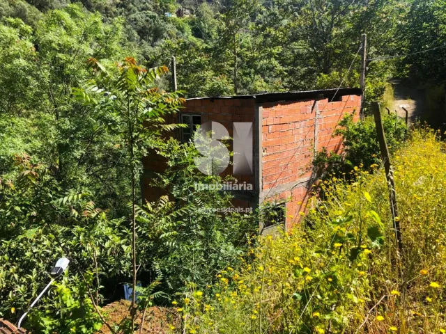 Quinta T2 - Provesende, Sabrosa, Vila Real - Miniatura: 12/41