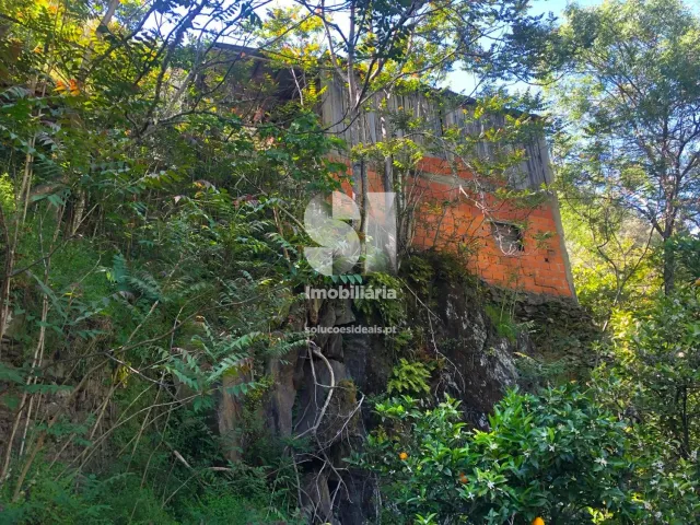 Quinta T2 - Provesende, Sabrosa, Vila Real - Miniatura: 13/41