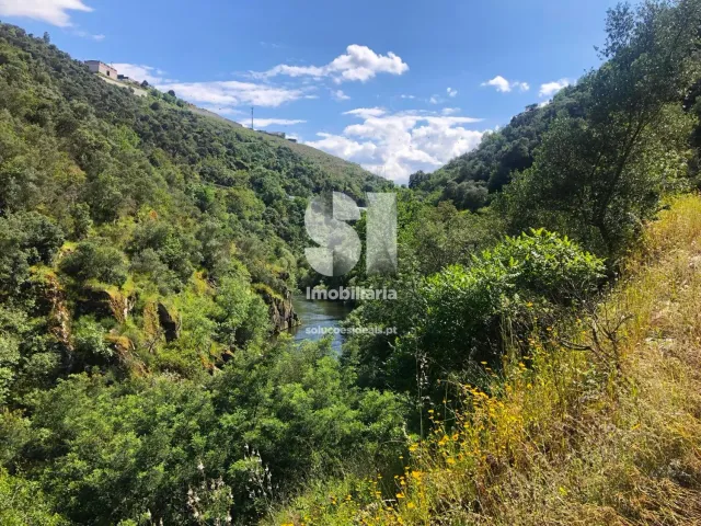 Quinta T2 - Provesende, Sabrosa, Vila Real - Miniatura: 15/41