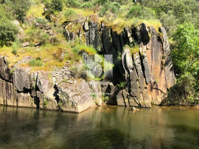 Quinta T2 - Provesende, Sabrosa, Vila Real - Miniatura: 16/41