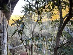 Quinta T2 - Provesende, Sabrosa, Vila Real - Miniatura: 27/41