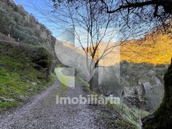 Quinta T2 - Provesende, Sabrosa, Vila Real - Miniatura: 28/41