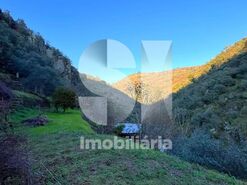 Quinta T2 - Provesende, Sabrosa, Vila Real - Miniatura: 31/41