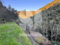 Quinta T2 - Provesende, Sabrosa, Vila Real - Miniatura: 33/41