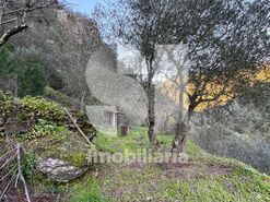 Quinta T2 - Provesende, Sabrosa, Vila Real - Miniatura: 34/41