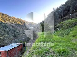 Quinta T2 - Provesende, Sabrosa, Vila Real - Miniatura: 36/41