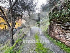 Quinta T2 - Provesende, Sabrosa, Vila Real - Miniatura: 38/41