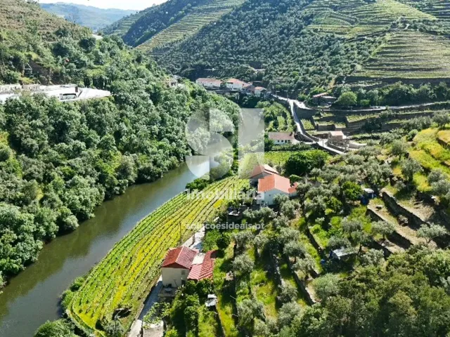 Quinta T2 - Provesende, Sabrosa, Vila Real - Miniatura: 39/41