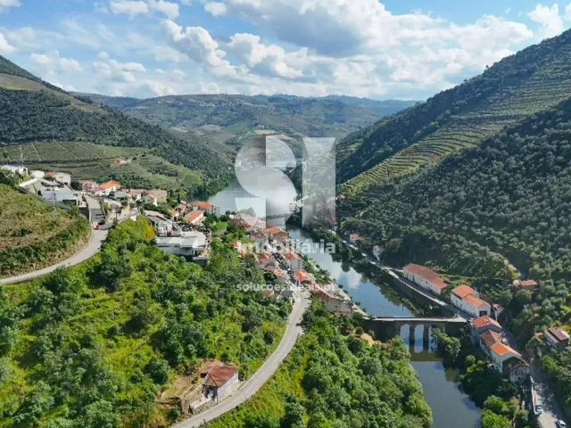 Quinta T2 - Provesende, Sabrosa, Vila Real - Miniatura: 40/41