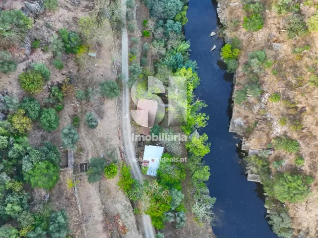 Quinta T2 - Provesende, Sabrosa, Vila Real - Miniatura: 41/41