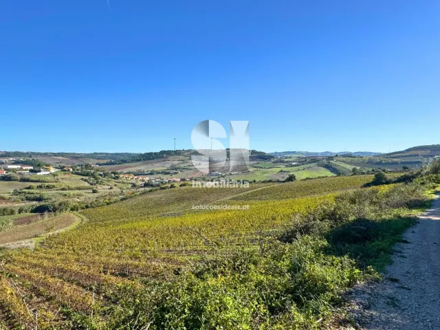Terreno R�stico T0 - Torres Vedras, Torres Vedras, Lisboa - Miniatura: 4/16