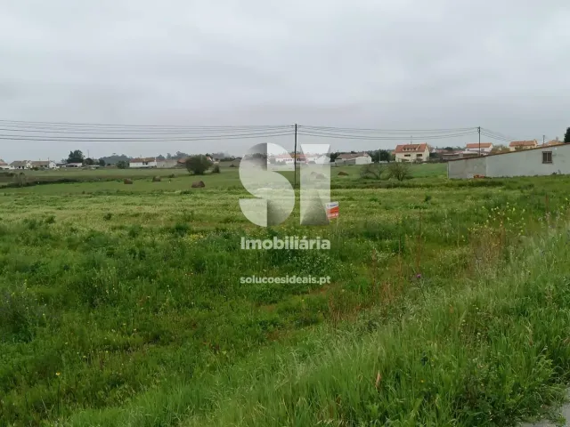 Terreno R�stico T0 - Monte Real, Leiria, Leiria - Miniatura: 1/10