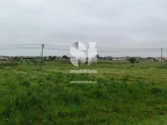 Terreno R�stico T0 - Monte Real, Leiria, Leiria - Miniatura: 2/10