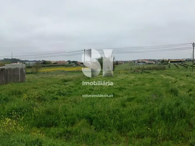 Terreno R�stico T0 - Monte Real, Leiria, Leiria - Miniatura: 3/10