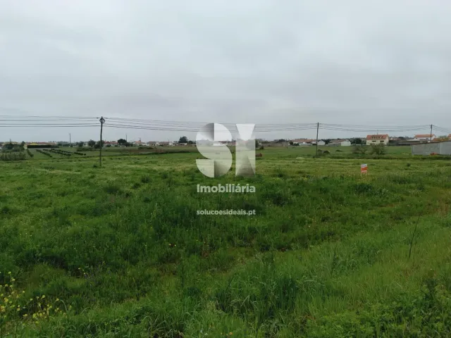 Terreno R�stico T0 - Monte Real, Leiria, Leiria - Miniatura: 4/10