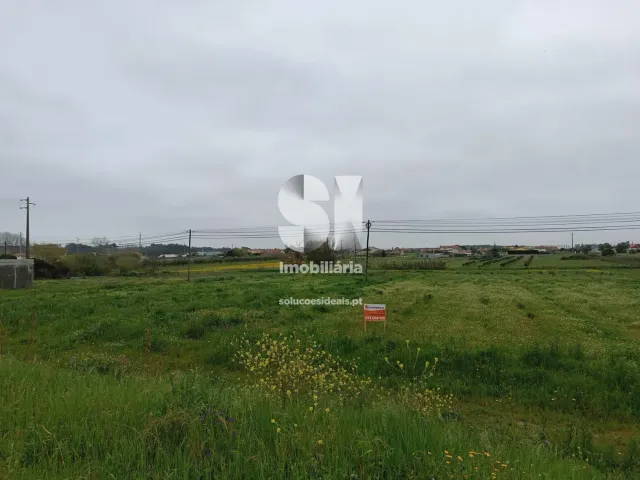 Terreno R�stico T0 - Monte Real, Leiria, Leiria - Miniatura: 5/10