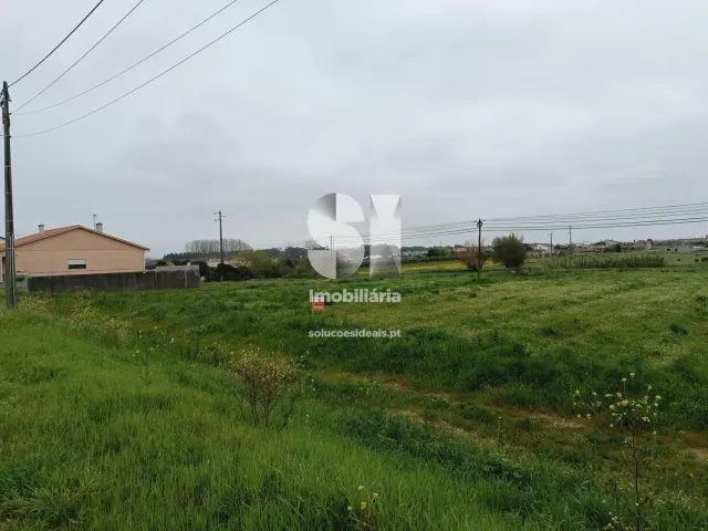 Terreno R�stico T0 - Monte Real, Leiria, Leiria - Miniatura: 6/10
