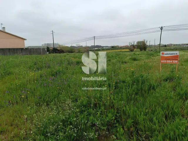 Terreno R�stico T0 - Monte Real, Leiria, Leiria - Miniatura: 7/10