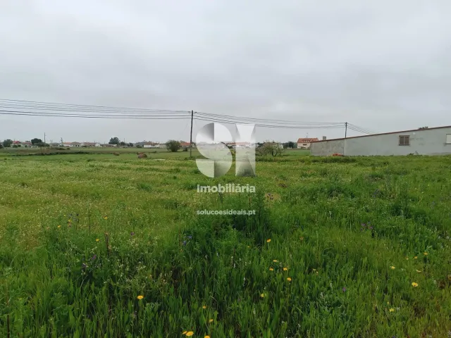 Terreno R�stico T0 - Monte Real, Leiria, Leiria - Miniatura: 8/10